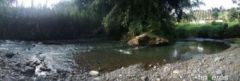 HERMOSA FINCA EN COMBIA CON RÍO Y PISCINA 	 - Finca en Pereira, Risaralda